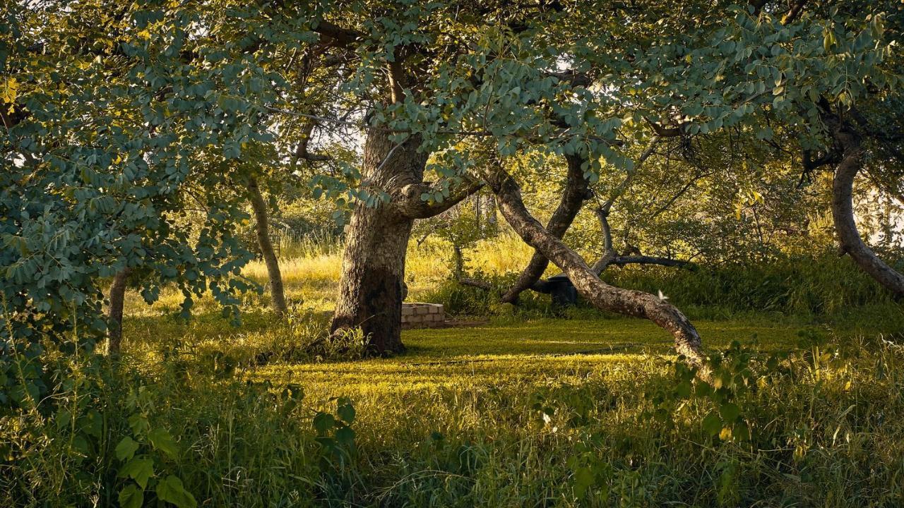 Zuricamp - Campsite Halishi Цумеб Экстерьер фото